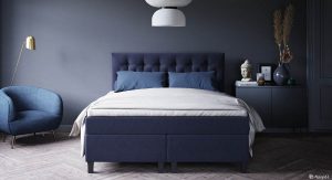 Navy 61