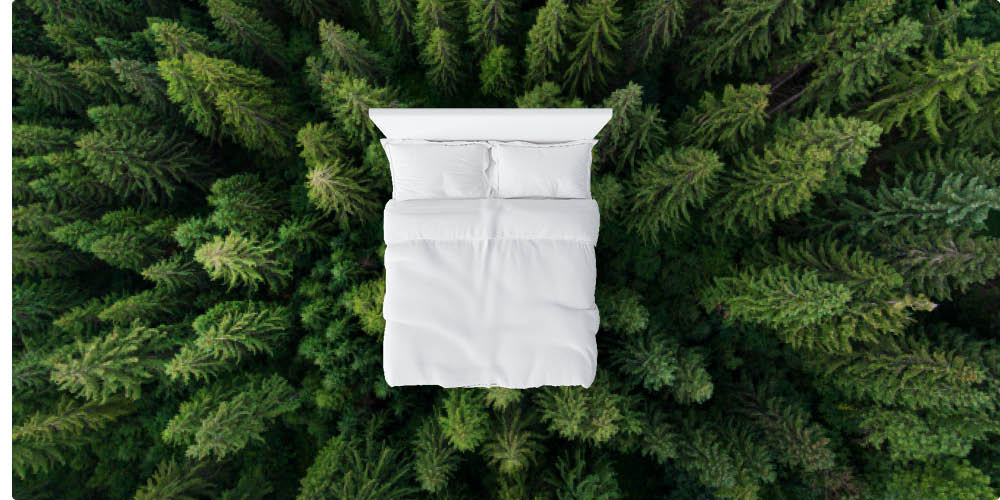 Sustainable sleeping - Norskprodusert sovekomfort som varer