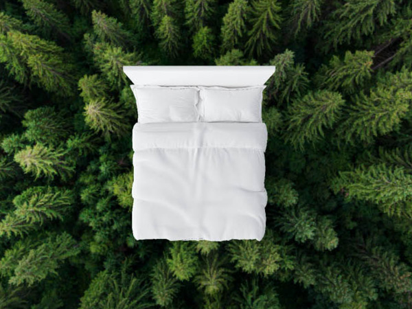 Sustainable sleeping - Norskprodusert sovekomfort som varer