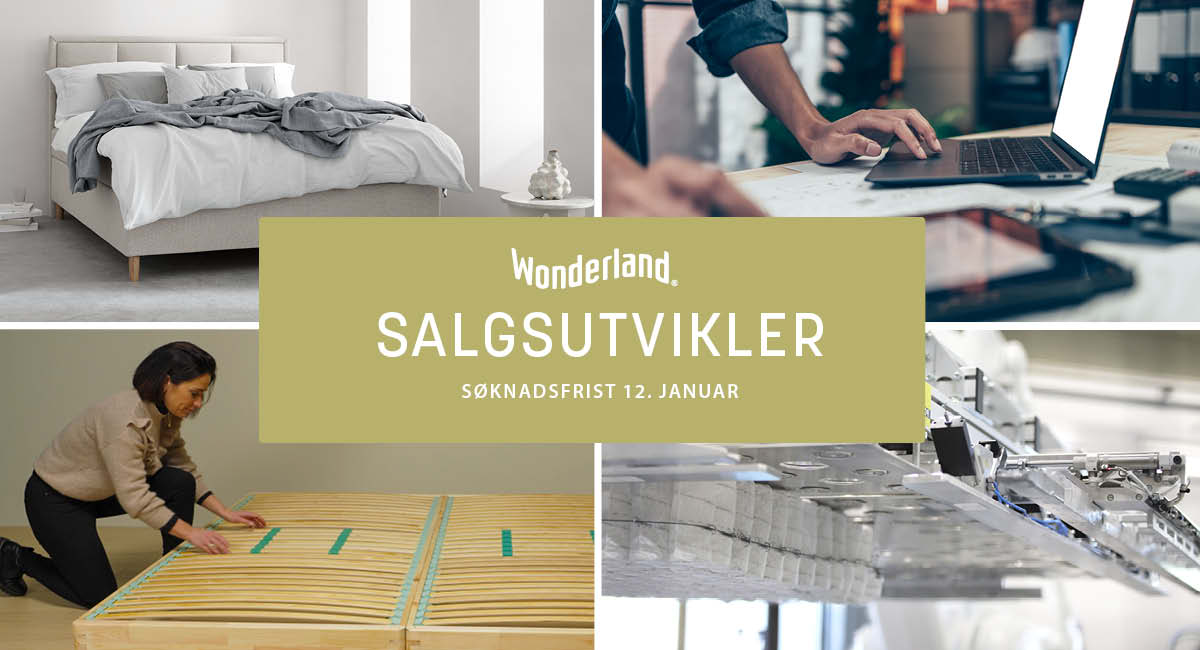 Vi søker salgsutvikler