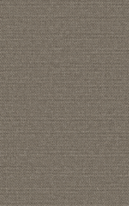 Stone_73